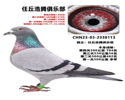 ���������ָ�