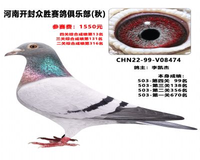 ���������ָ�