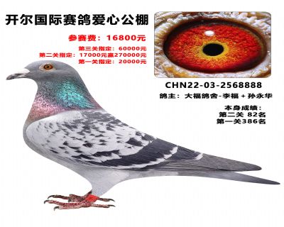 ���������ָ�