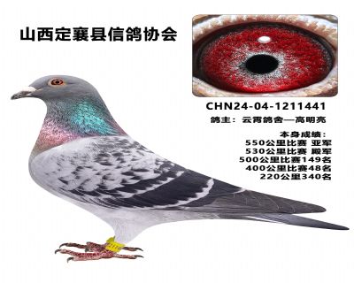 ���������ָ�