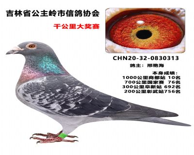 ���������ָ�