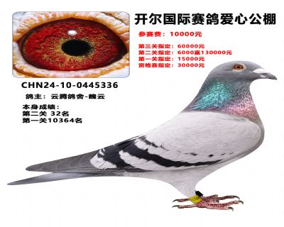 ���������ָ�