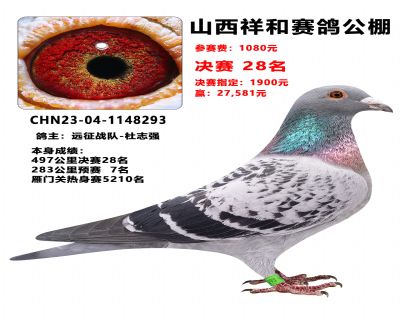 ���������ָ�