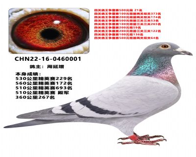 ���������ָ�