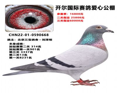 ���������ָ�