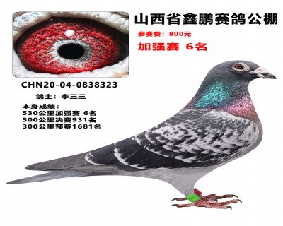 ���������ָ�