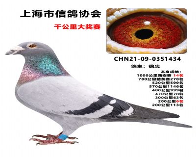 ���������ָ�