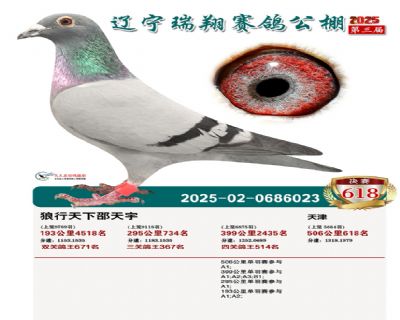 �������蹫�����618��