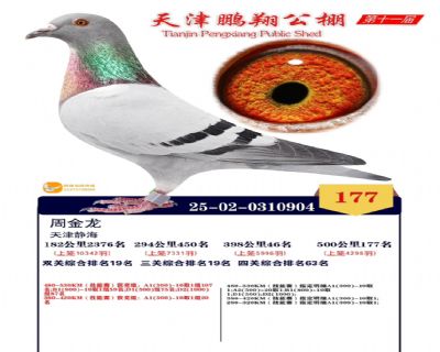 ����177�����ظ���19��