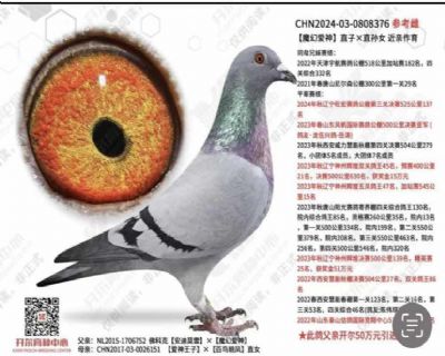 ������ҵ��ƿ˽��׻�Ѫ