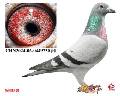 ����˳��.����14��