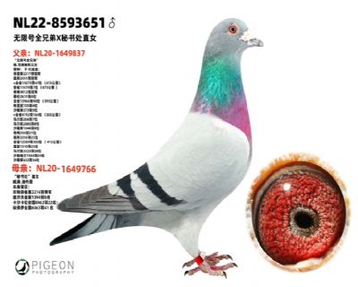 �����˹