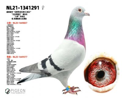 ������Ů