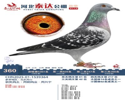 �ӱ�̩�﹫�����360��