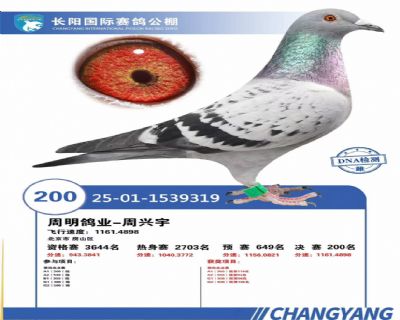 �����������빫�����200��