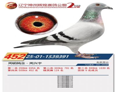 �������ݻԻ͹������452��