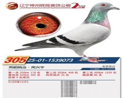 �������ݻԻ͹������305��