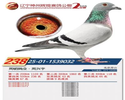 �������ݻԻ͹������238��