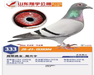 ɽ����������333��