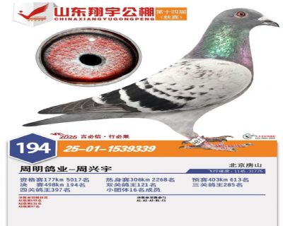 ɽ����������194��