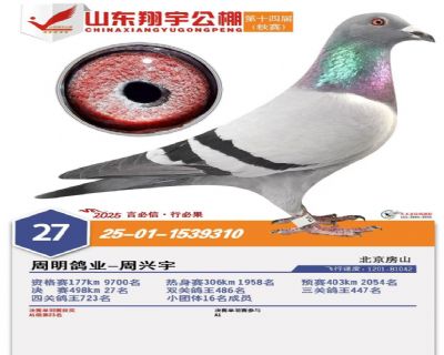 ɽ����������27��