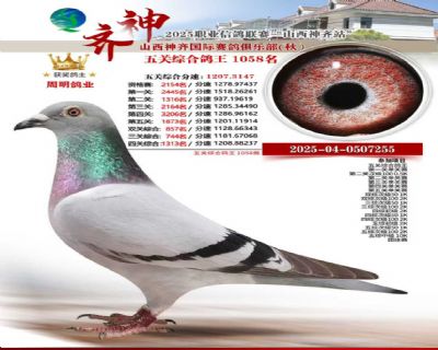 ɽ���������������ֲ���ظ���1058��