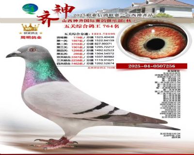 ɽ���������������ֲ���ظ���764��