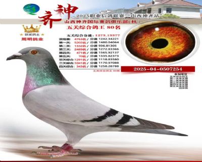 ɽ���������������ֲ���ظ���80��