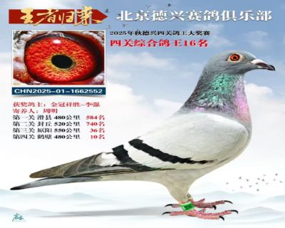 ��������������ֲ��Ĺظ���16��