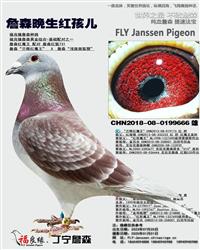 ��ĸ����