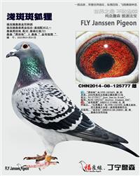 ��ĸ����