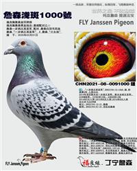 ��ĸ����