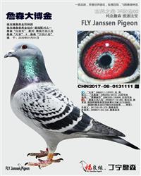 ��ĸ����