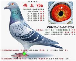 ĸ��  �Ĺظ����Ǿ�