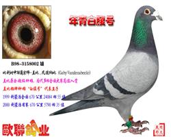 ����׸���