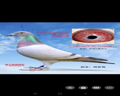 ˫���ۺϸ���6