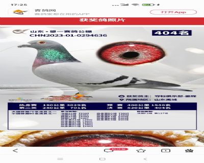 Ҽ�Ÿ����ű������