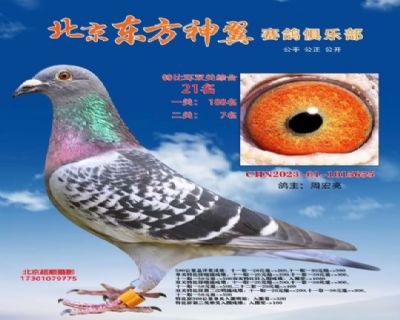 ��������10����˫���ۺ�25