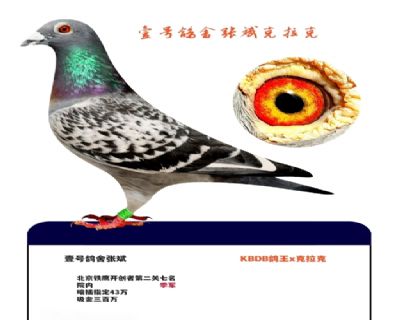 Ҽ�Ÿ����ű�