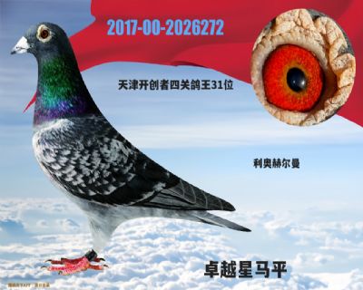 ��򿪴����Ĺظ���31λ