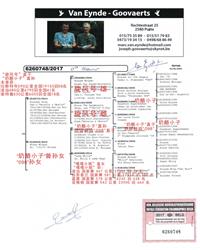 ����Ѫͳ��