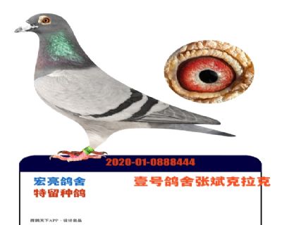 Ҽ�Ÿ����ű������