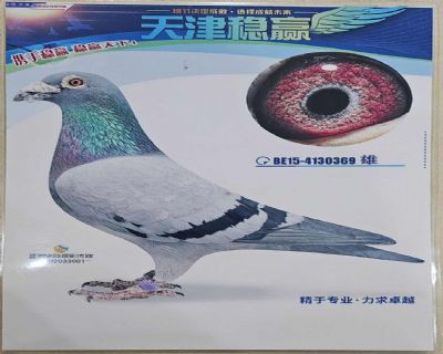 ���׵�.����ԭ�����о�