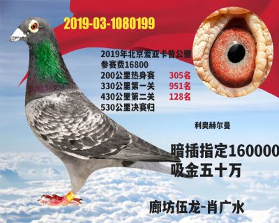 ���ո���