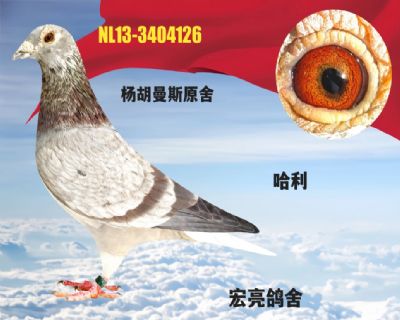 �����˹ԭ��