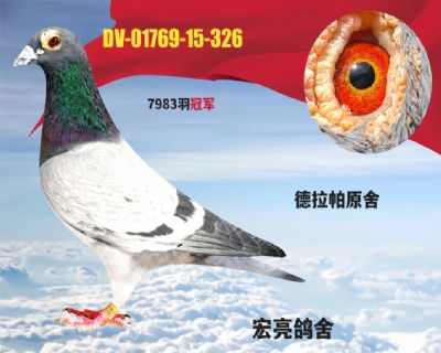 ������ԭ��