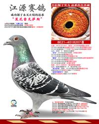 ���ף������׿���˹