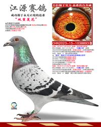 ���ף�˫������