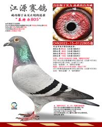 ĸ�ף����ض�805