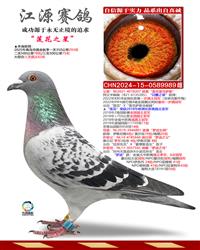 ȫͬ��������֮��